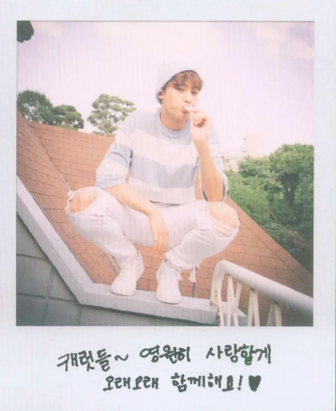 Mingyu — Love & Letter - Repackage Album, Normal · Special Edition