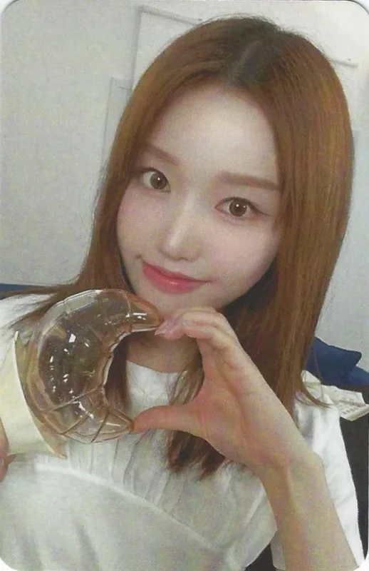 Go Won — OFFICIAL LIGHT STICK, Lightstick