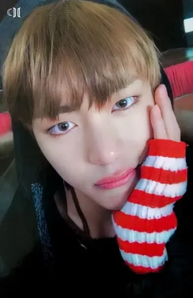 V — YOU NEVER WALK ALONE
