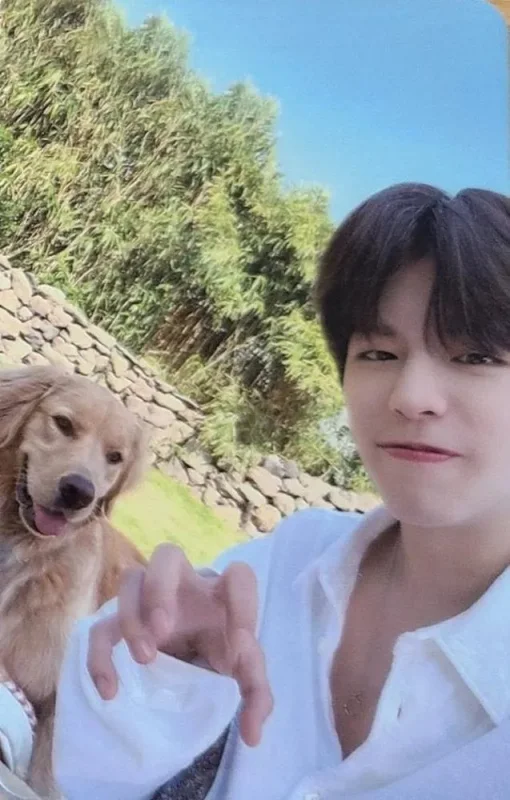 Seungmin — Stay in STAY, JYP Shop