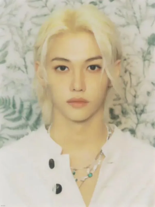 Felix — Stay Hideout - 4th Membership