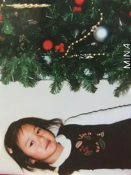 Mina — The Story Begins