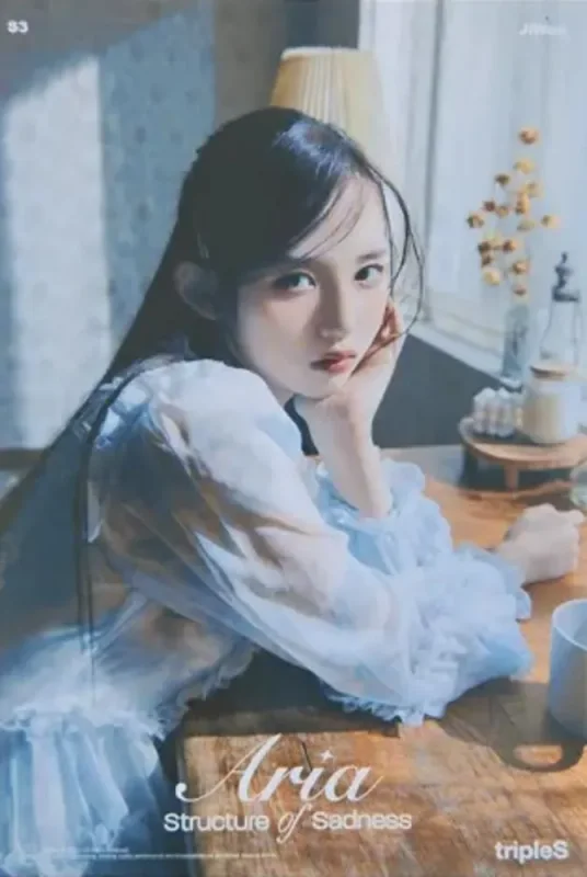 JiWoo — Structure Of Sadness, Broadcast