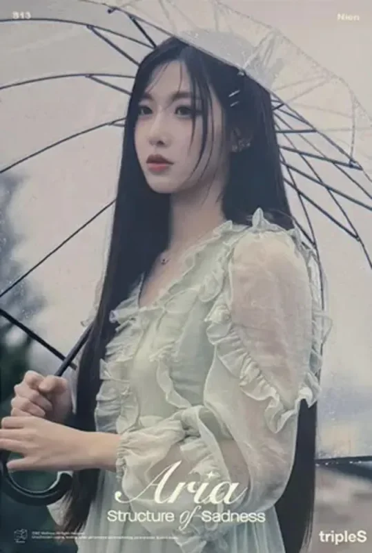 Nien — Structure Of Sadness, Broadcast