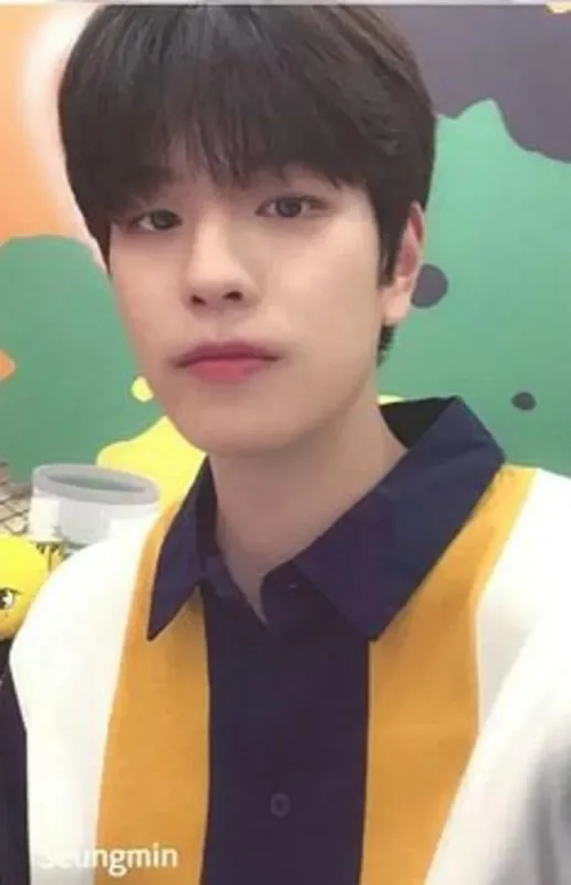 Seungmin — Shinhan Card