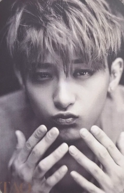 Luhan, Z.TAO — 2014 Season's Greetings