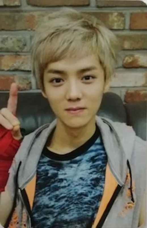Luhan — 'XOXO' - Repackage Album, HUG · KISS