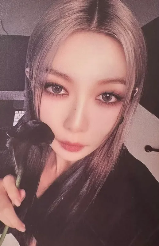Dami — Fallen Angels