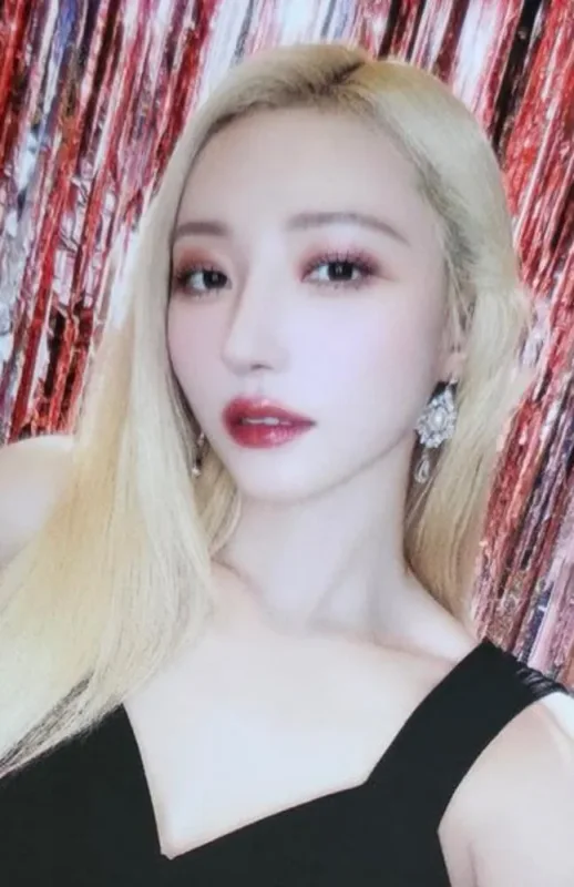 SuA — THE NIGHT BLOOM - 2026 Season's Greetings