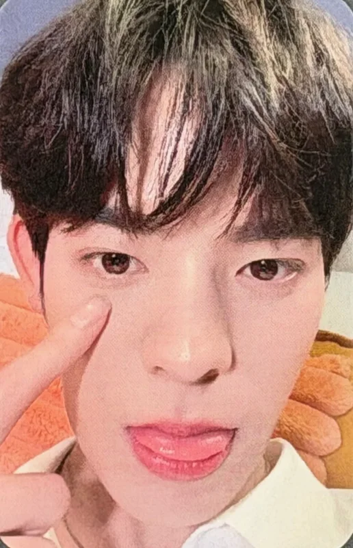 Por — DMD LINEUP 2026 | FRIEND BENEFIT RANDOM SELFIE PHOTOCARDS