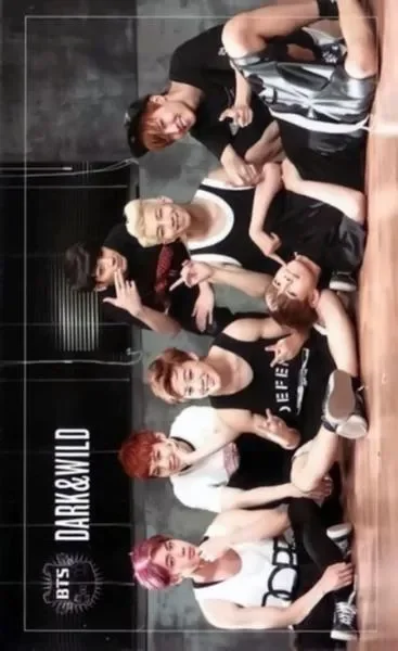 j-hope, Jimin, Jin, Jung Kook, RM, SUGA, V — DARK&WILD