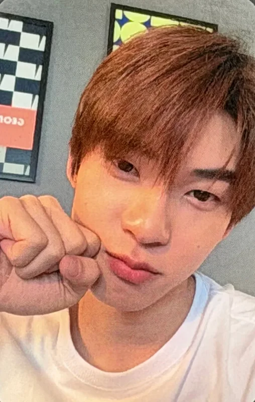 TeeTee — DMD LINEUP 2026 | FRIEND BENEFIT RANDOM SELFIE PHOTOCARDS