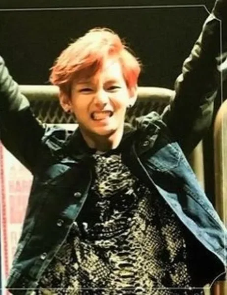 V — Skool Luv Affair