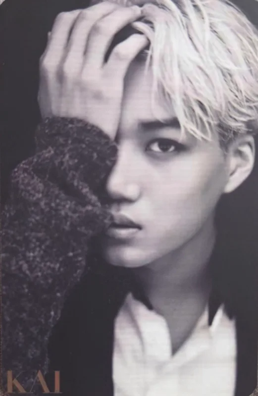 Kai, Suho — 2014 Season's Greetings