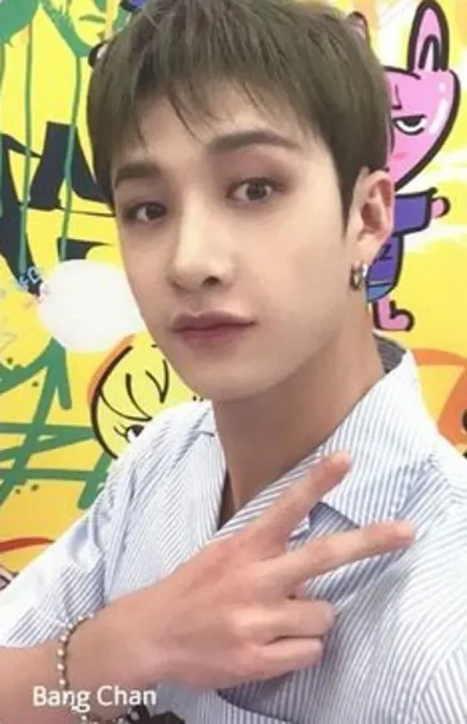 Bang Chan — Shinhan Card