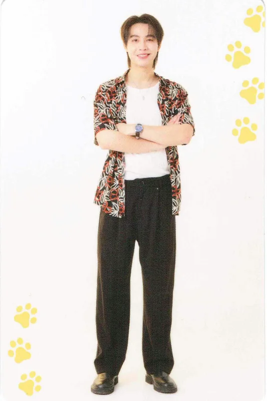 First Kanaphan — CAT FOR CASH | COLLECTIBLE CARD SET