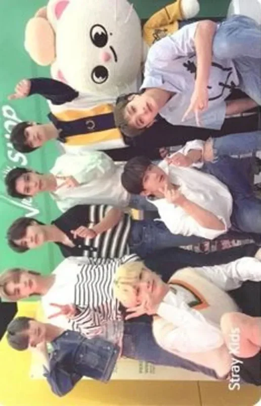 Bang Chan, Changbin, Felix, Han, Hyunjin, I.N, Lee Know, Seungmin — Shinhan Card