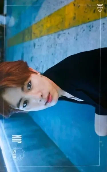 Jin — DARK&WILD