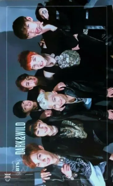 j-hope, Jimin, Jin, Jung Kook, RM, SUGA, V — DARK&WILD