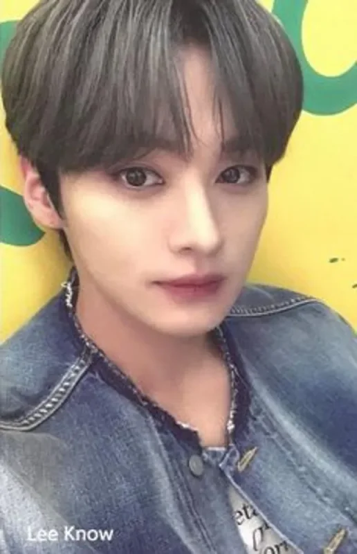 Lee Know — Shinhan Card