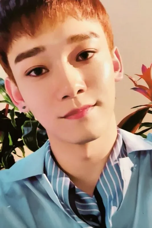 Chen — Blooming Days
