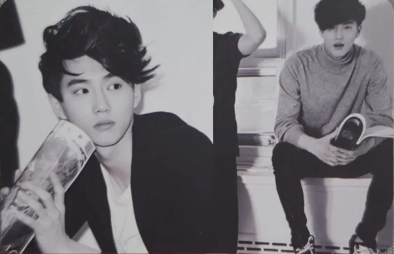 Baekhyun, Suho — 2014 Season's Greetings