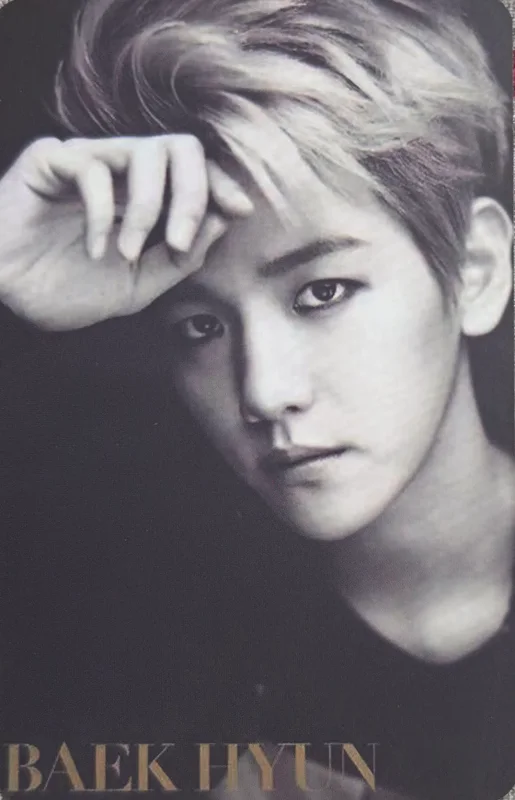 Baekhyun, Sehun — 2014 Season's Greetings